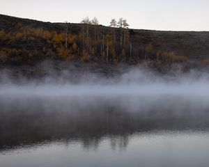 Preview wallpaper river, fog, trees, landscape, nature