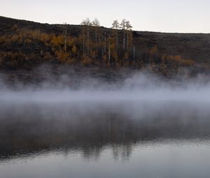 Preview wallpaper river, fog, trees, landscape, nature