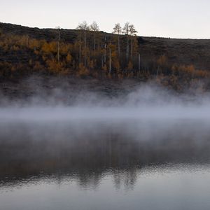 Preview wallpaper river, fog, trees, landscape, nature