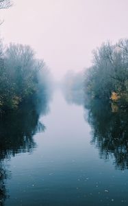 Preview wallpaper river, fog, trees, bushes, reflection