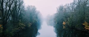 Preview wallpaper river, fog, trees, bushes, reflection