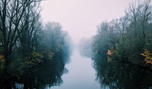 Preview wallpaper river, fog, trees, bushes, reflection