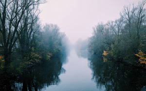 Preview wallpaper river, fog, trees, bushes, reflection