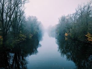 Preview wallpaper river, fog, trees, bushes, reflection