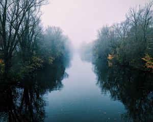 Preview wallpaper river, fog, trees, bushes, reflection