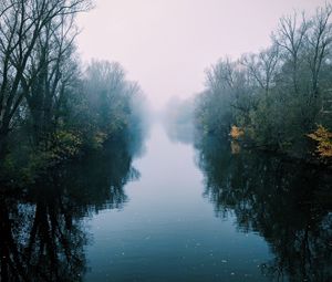 Preview wallpaper river, fog, trees, bushes, reflection