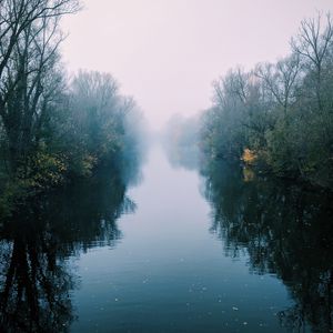 Preview wallpaper river, fog, trees, bushes, reflection