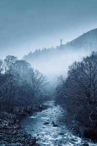 Preview wallpaper river, fog, trees, nature