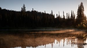 Preview wallpaper river, fog, trees, reflection