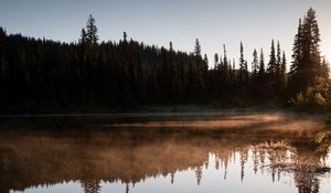 Preview wallpaper river, fog, trees, reflection