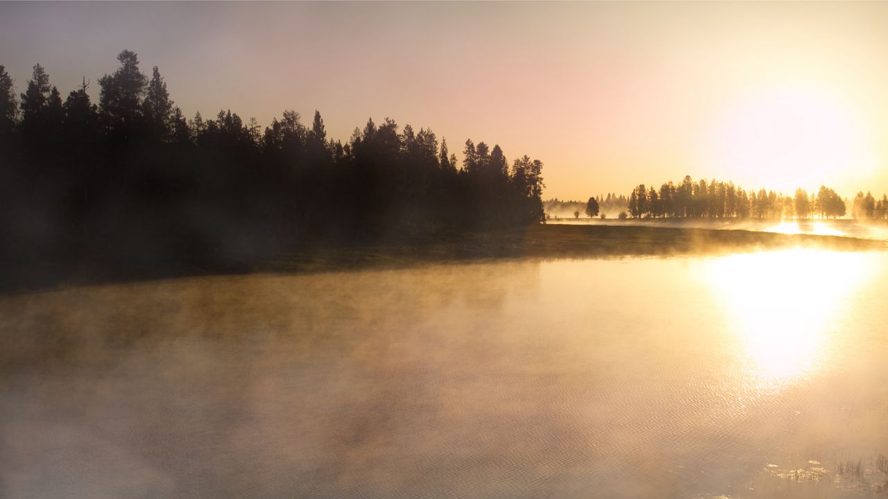 Wallpaper river, fog, trees, nature, sunrise