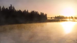 Preview wallpaper river, fog, trees, nature, sunrise