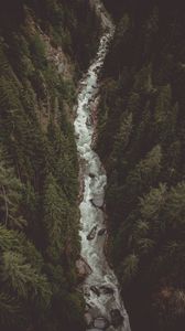 Preview wallpaper river, forest, aerial view, stream, mountain