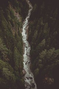 Preview wallpaper river, forest, aerial view, stream, mountain