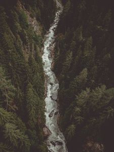 Preview wallpaper river, forest, aerial view, stream, mountain