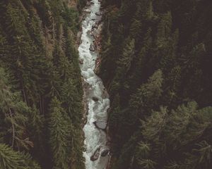 Preview wallpaper river, forest, aerial view, stream, mountain