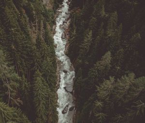 Preview wallpaper river, forest, aerial view, stream, mountain