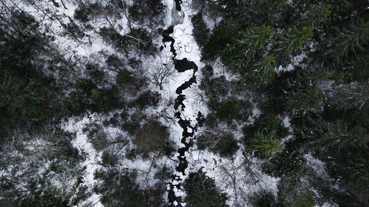 Wallpaper river, forest, aerial view, snow, winter