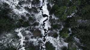Preview wallpaper river, forest, aerial view, snow, winter