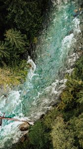 Preview wallpaper river, forest, aerial view, trees, water