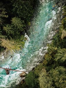 Preview wallpaper river, forest, aerial view, trees, water
