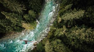 Preview wallpaper river, forest, aerial view, trees, water