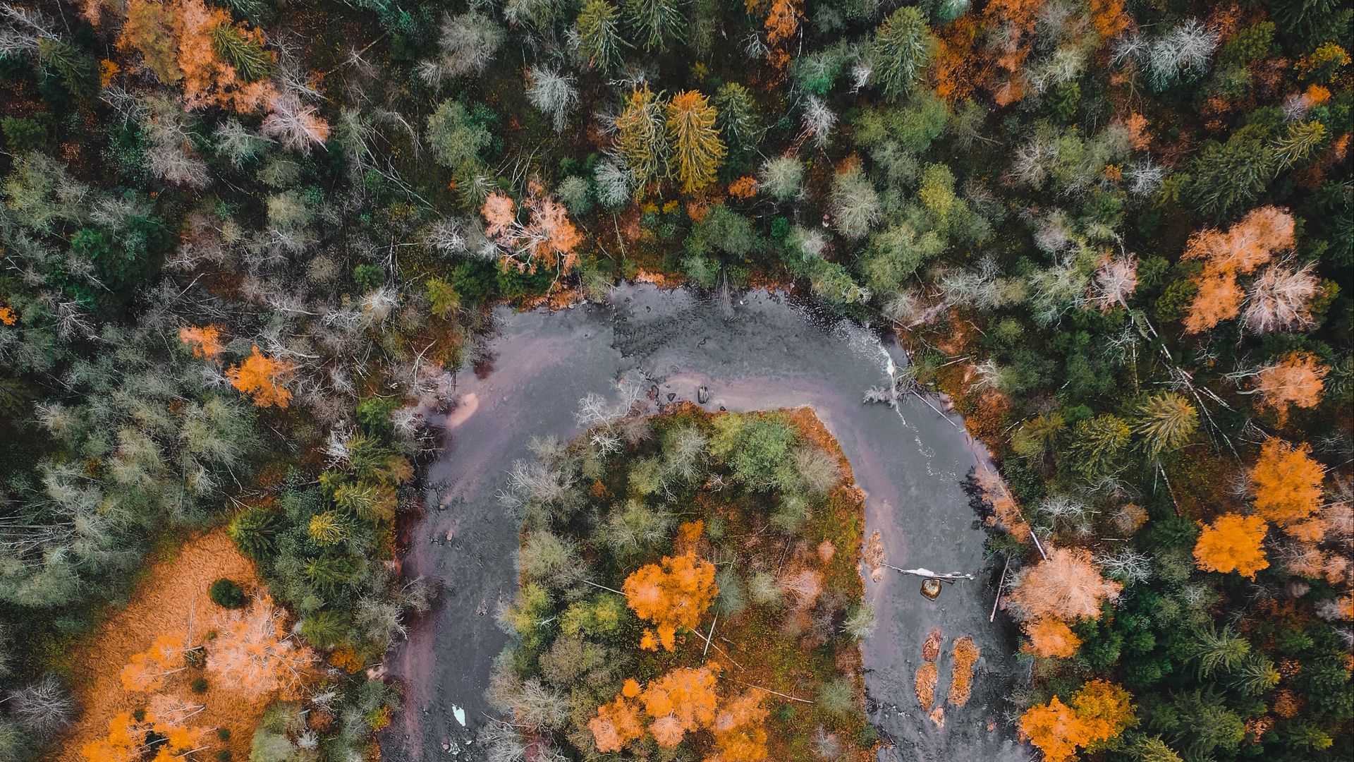 Download wallpaper 1920x1080 river, forest, aerial view, autumn full hd