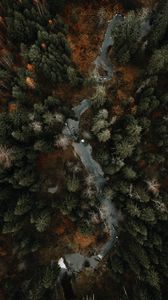 Preview wallpaper river, forest, aerial view, trees, autumn