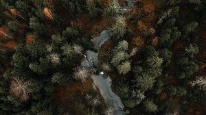 Preview wallpaper river, forest, aerial view, trees, autumn