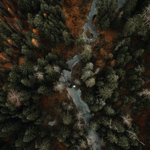 Preview wallpaper river, forest, aerial view, trees, autumn