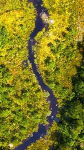 Preview wallpaper river, forest, aerial view, trees, bushes