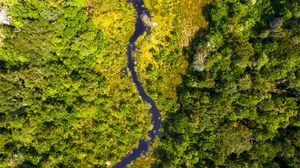 Preview wallpaper river, forest, aerial view, trees, bushes