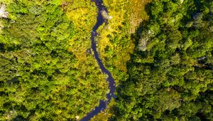 Preview wallpaper river, forest, aerial view, trees, bushes