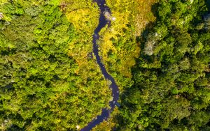 Preview wallpaper river, forest, aerial view, trees, bushes