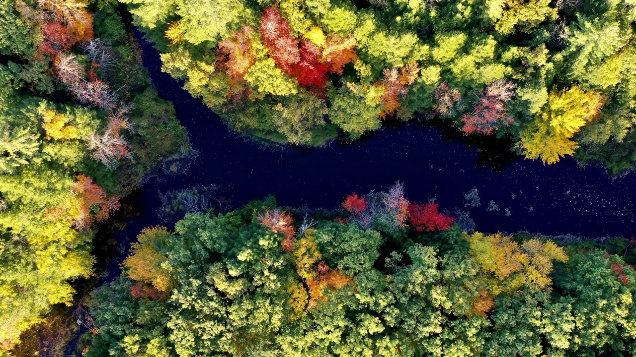 Wallpaper river, forest, autumn, landscape, nature, aerial view