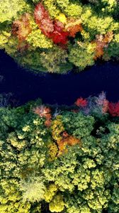 Preview wallpaper river, forest, autumn, landscape, nature, aerial view