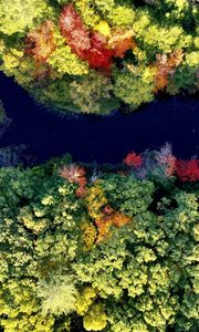 Preview wallpaper river, forest, autumn, landscape, nature, aerial view