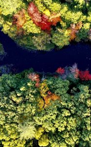 Preview wallpaper river, forest, autumn, landscape, nature, aerial view