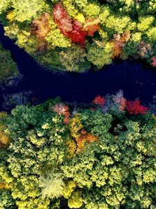 Preview wallpaper river, forest, autumn, landscape, nature, aerial view