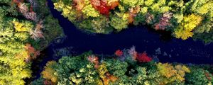 Preview wallpaper river, forest, autumn, landscape, nature, aerial view