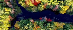 Preview wallpaper river, forest, autumn, landscape, nature, aerial view
