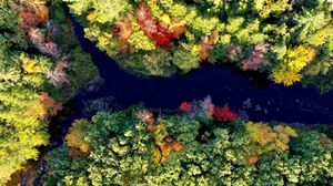 Preview wallpaper river, forest, autumn, landscape, nature, aerial view