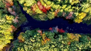 Preview wallpaper river, forest, autumn, landscape, nature, aerial view