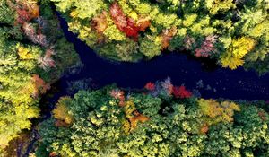 Preview wallpaper river, forest, autumn, landscape, nature, aerial view