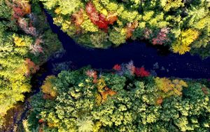 Preview wallpaper river, forest, autumn, landscape, nature, aerial view