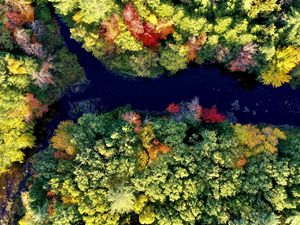 Preview wallpaper river, forest, autumn, landscape, nature, aerial view