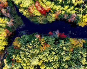 Preview wallpaper river, forest, autumn, landscape, nature, aerial view