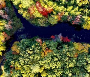 Preview wallpaper river, forest, autumn, landscape, nature, aerial view