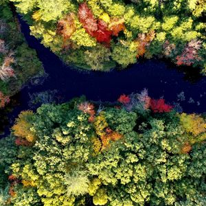 Preview wallpaper river, forest, autumn, landscape, nature, aerial view