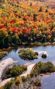 Preview wallpaper river, forest, autumn, aerial view, islands